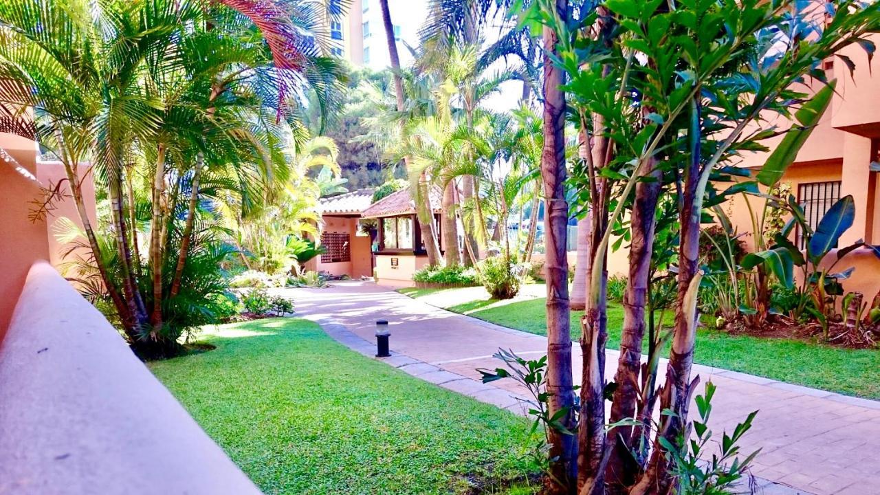 - Alicate Beachfront Apartment-9 Appartement *