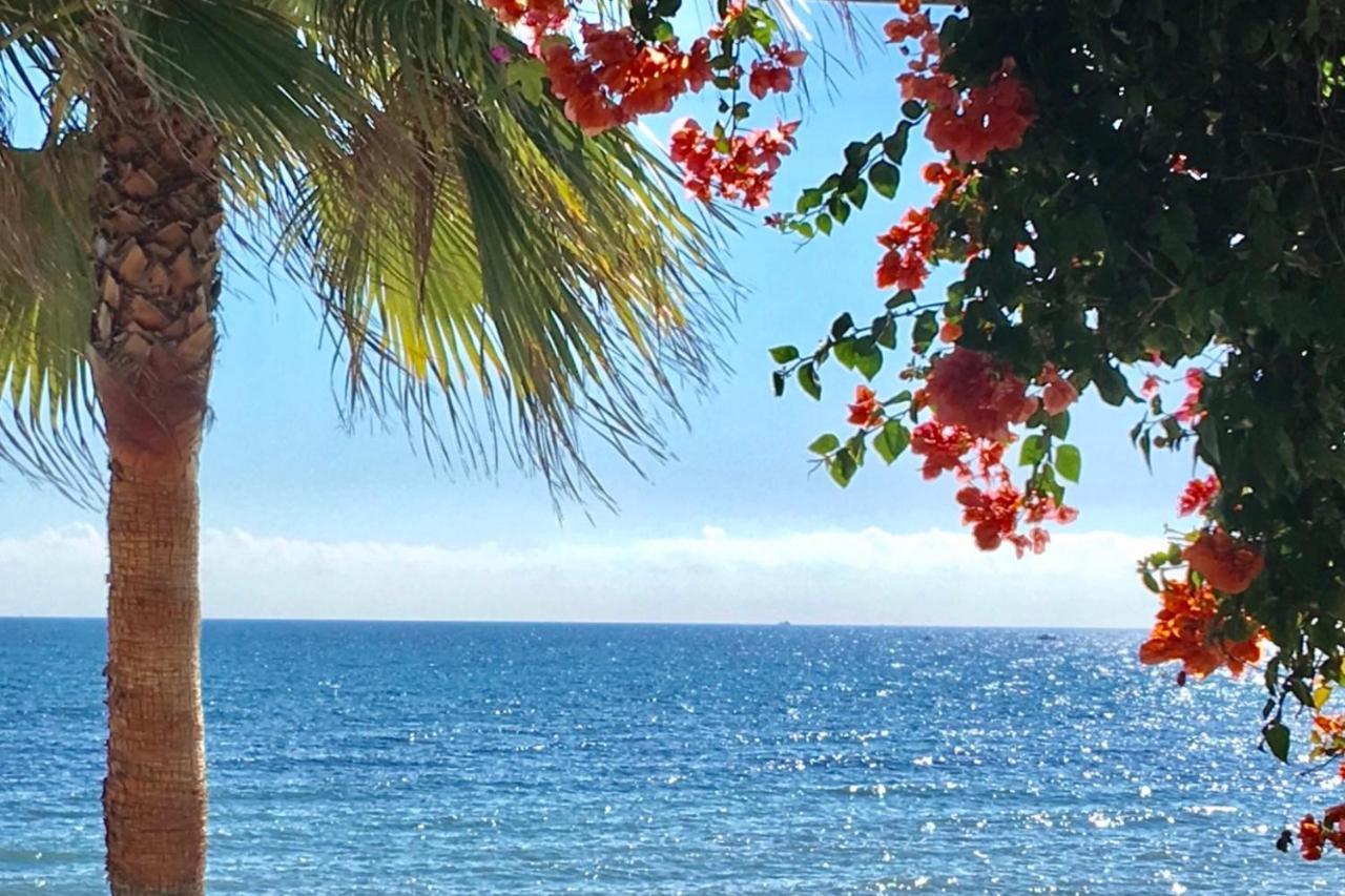 Appartement - Alicate Beachfront Apartment-9 *