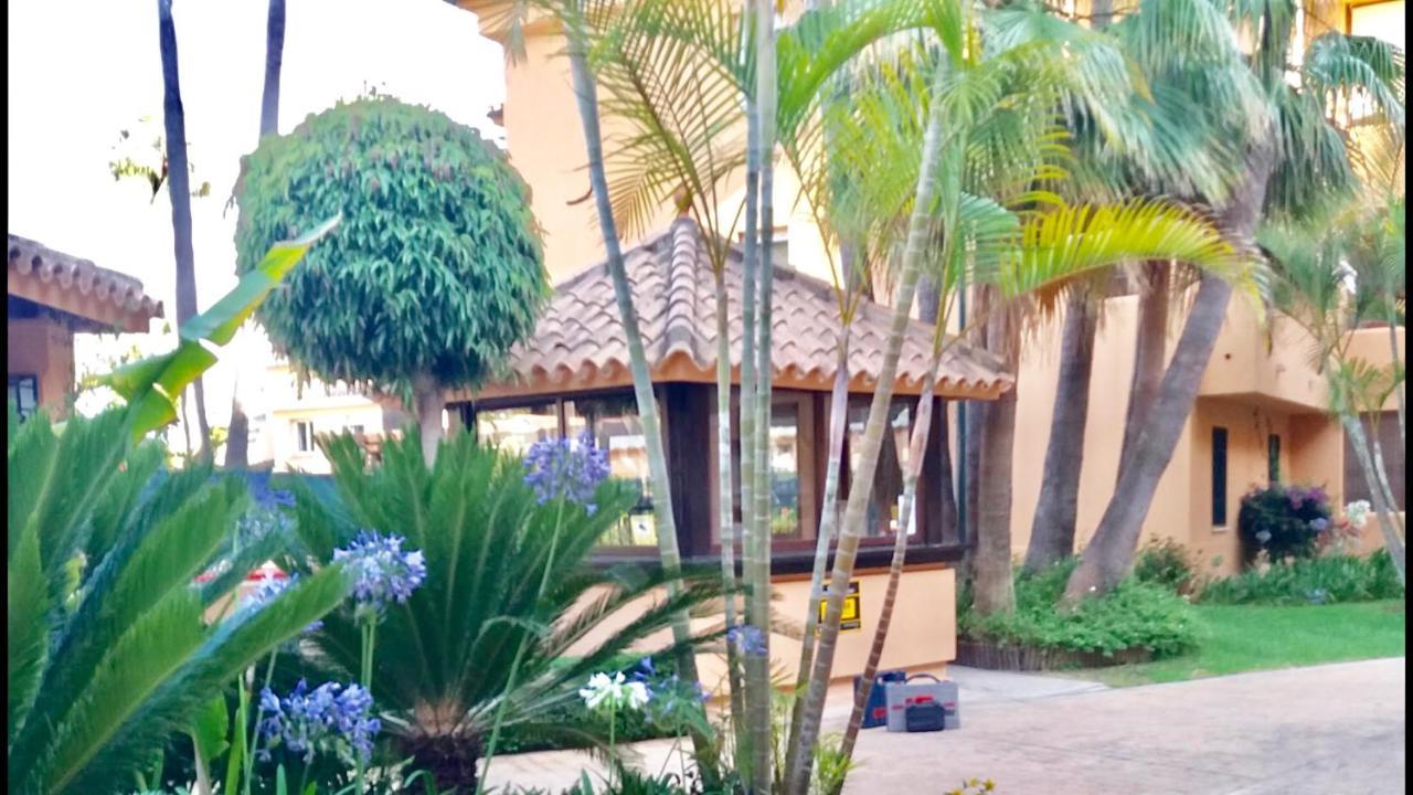 Appartement - Alicate Beachfront Apartment-9 Marbella