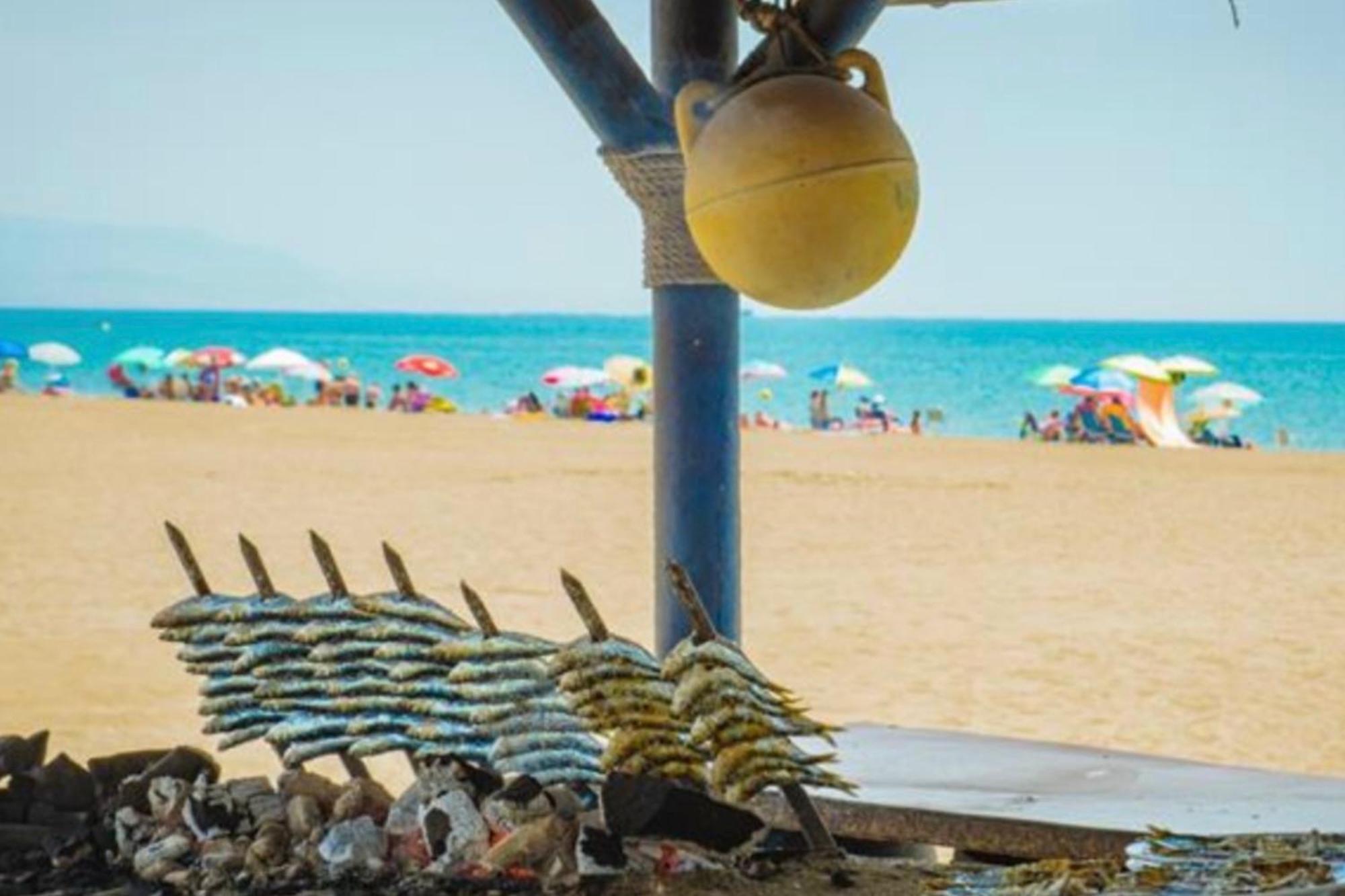 - Alicate Beachfront Apartment-9 Appartement Marbella